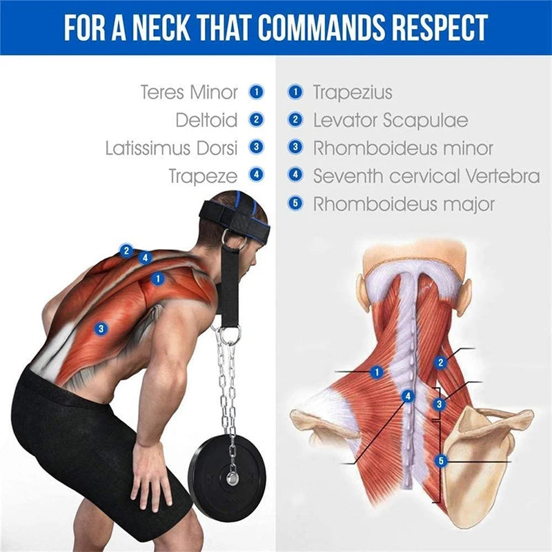 Head Neck Training